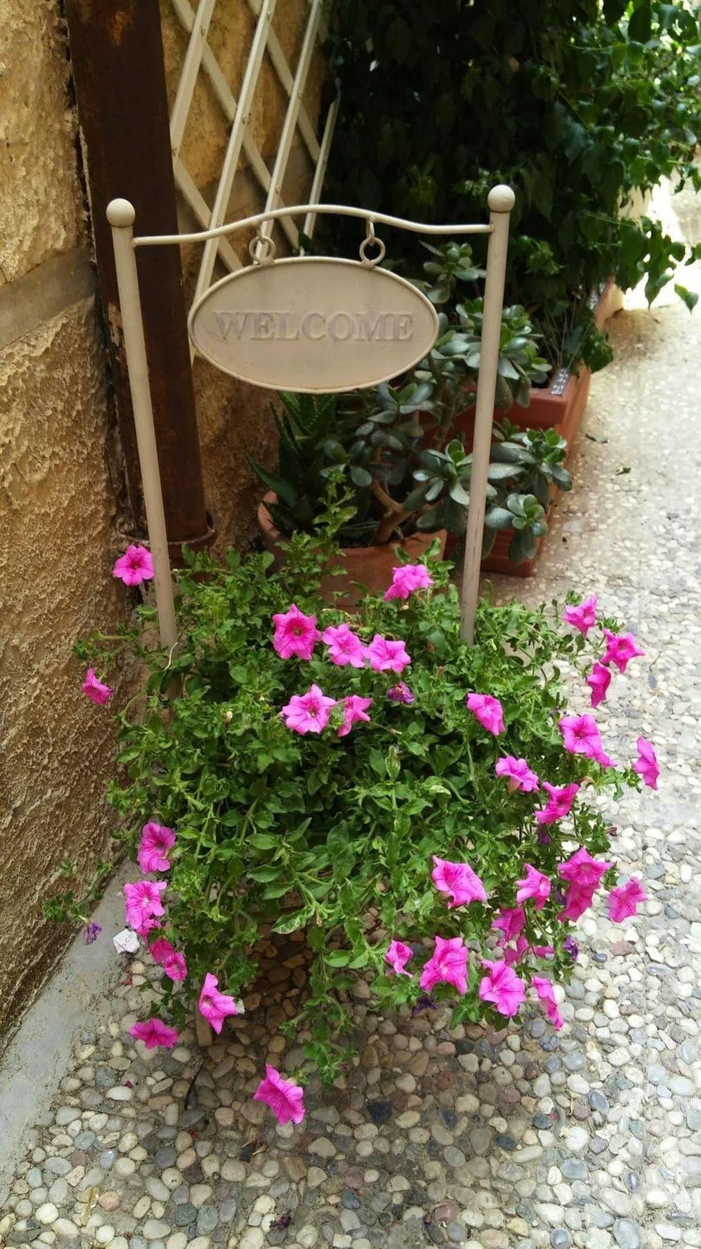 אגריג'נטו Camere A Sud מראה חיצוני תמונה